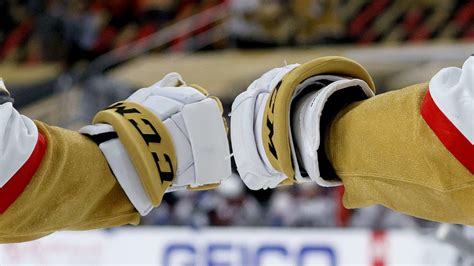 louis vuitton hockey gloves